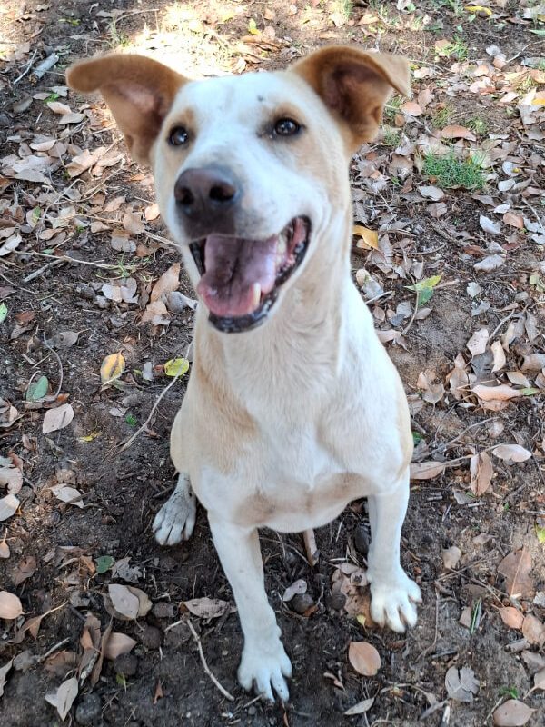 20251225_095331(1) (1) (1)