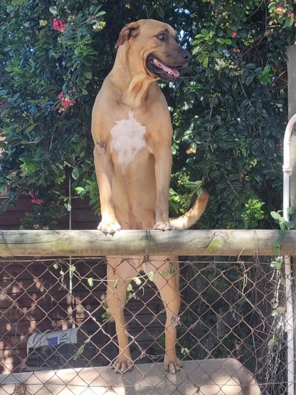 568749209_1244063081095654_6673051574382314840_n