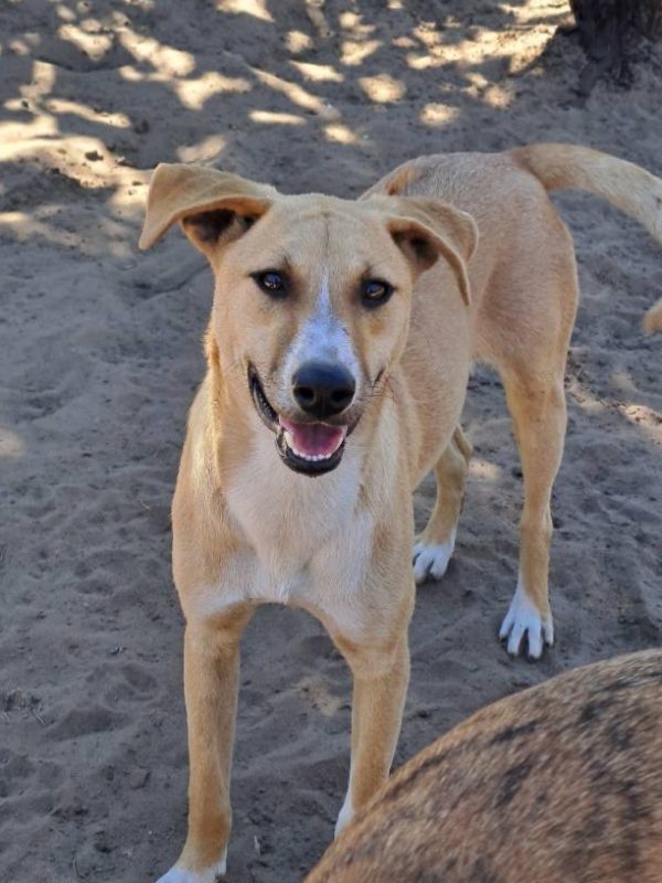 569268486_1244082071093755_2176007107314672561_n