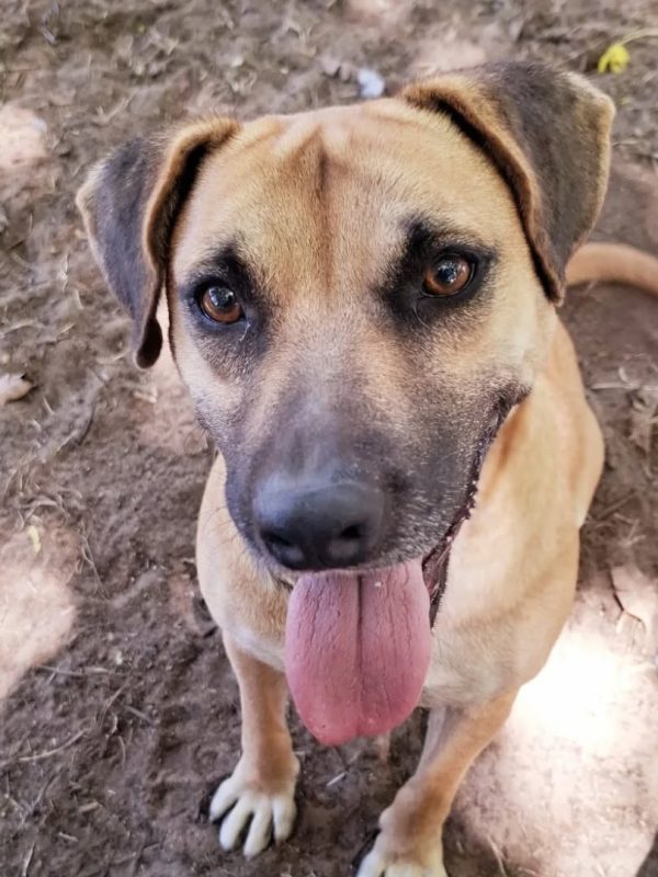 570858192_18071840114584201_7587823050452274099_n