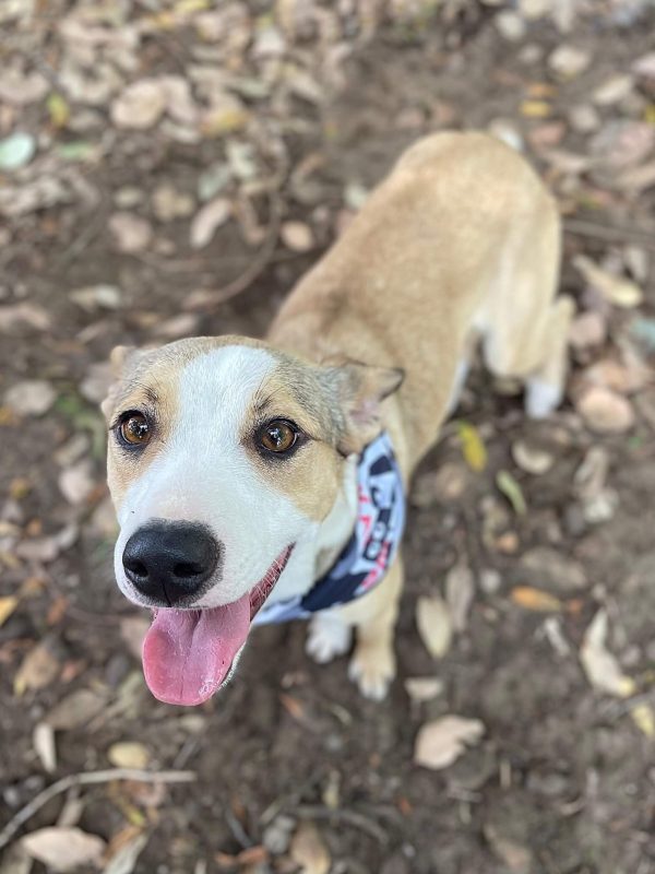 571130505_1244089347759694_3842880621312714483_n (1) (1)