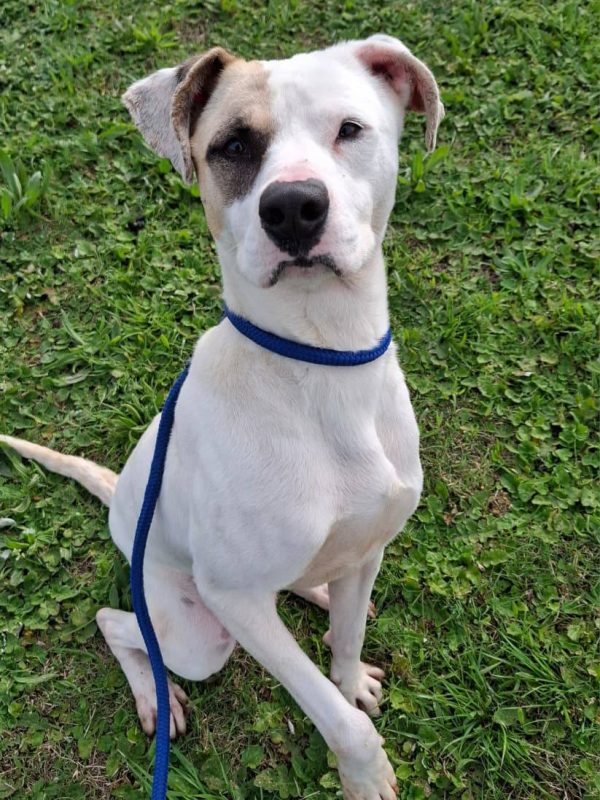 571404170_1243272747841354_1675959219059167216_n