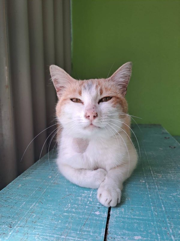 585362567_1265708792264416_7137947453070950942_n