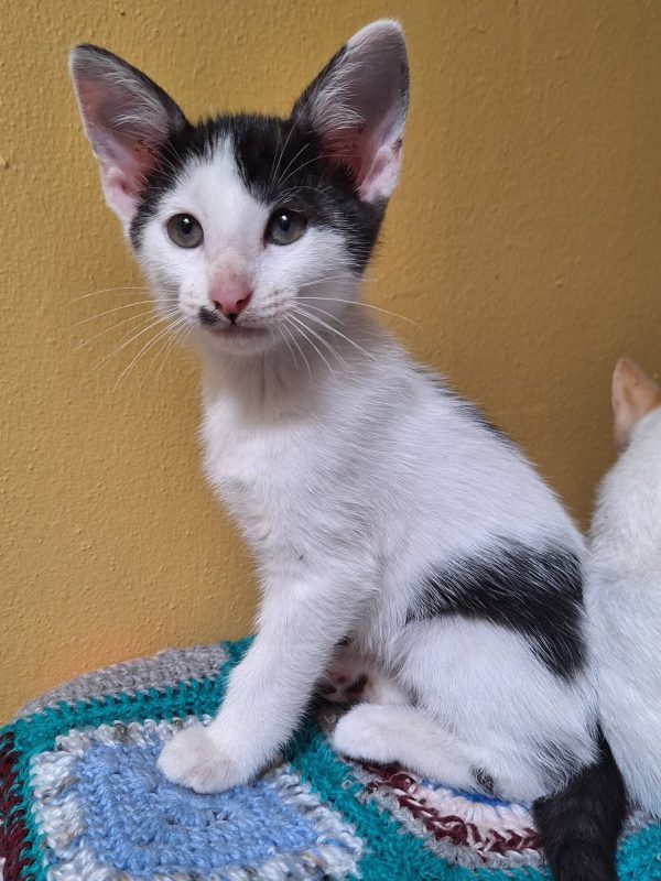 623401466_1322368626598432_2770539036767063385_n (1)