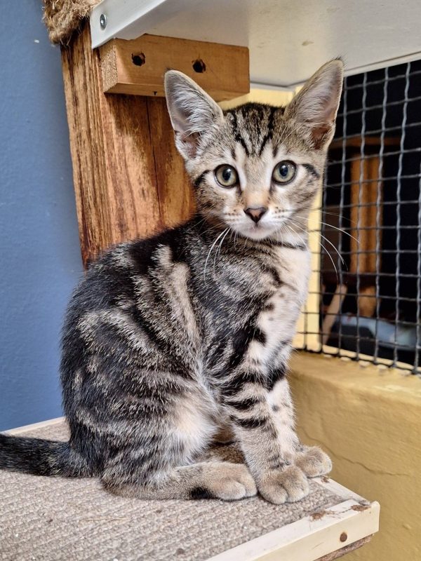 625117167_1322368959931732_3105101663572498400_n