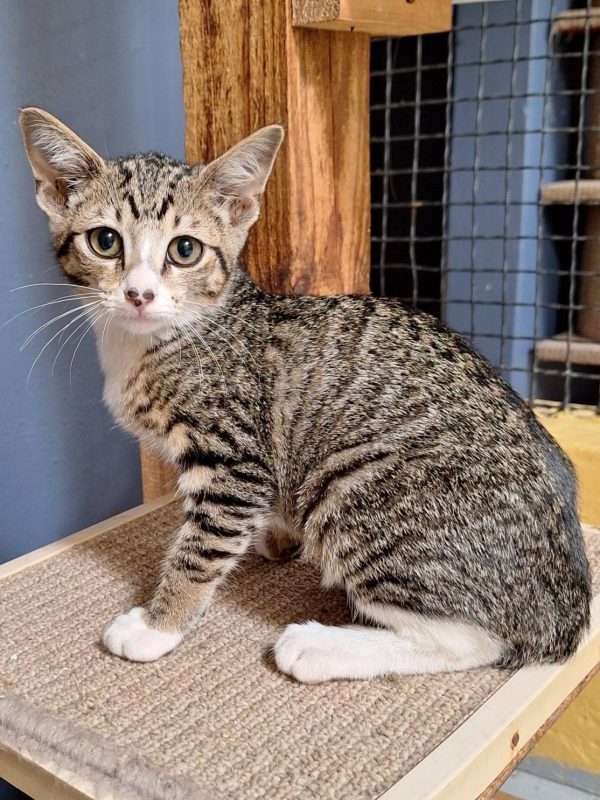 625156523_1322368999931728_8066649665409657663_n