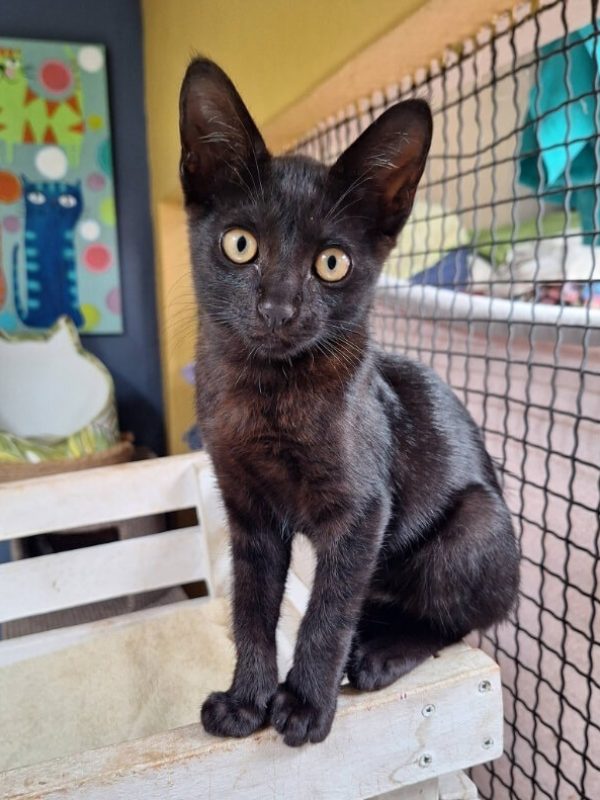 626016194_1322368583265103_2859799367696322401_n (1)